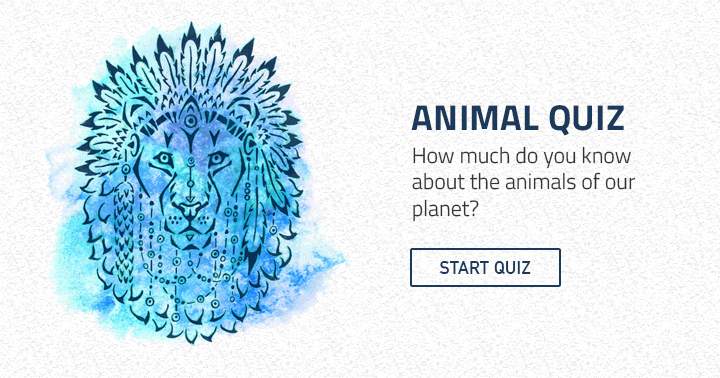 Banner for This quiz is sure to bring joy to animal enthusiasts!