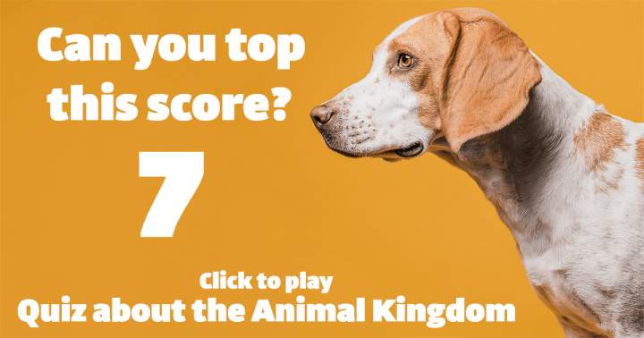 Banner for 'Animal Kingdom Quiz'