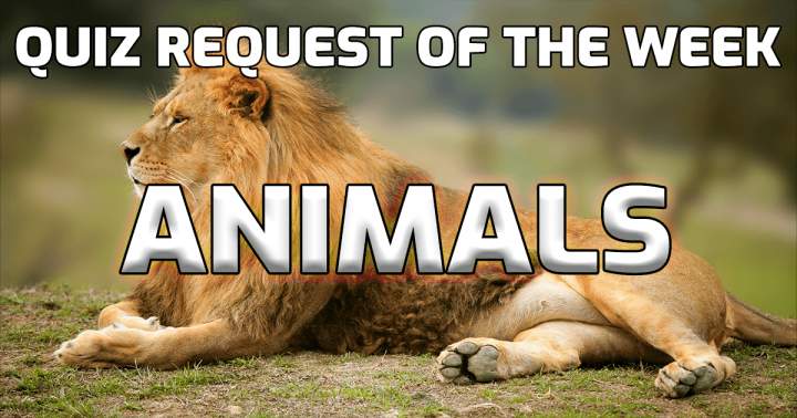 Banner for Request for the Animals Quiz of the Week.