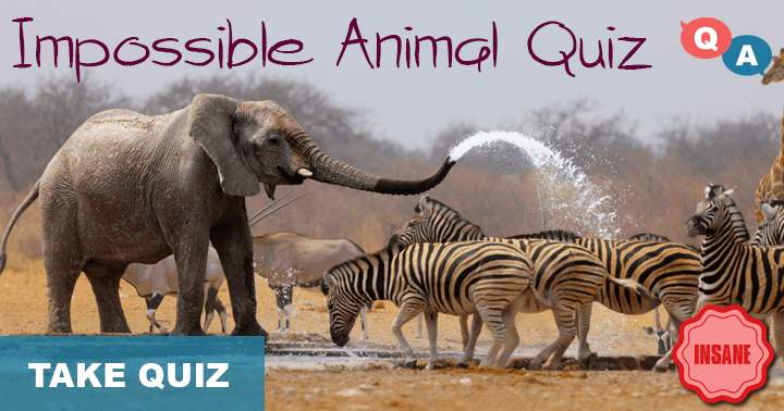 Banner for Can you attain a score of 4/10 on this exceptionally difficult animal quiz?