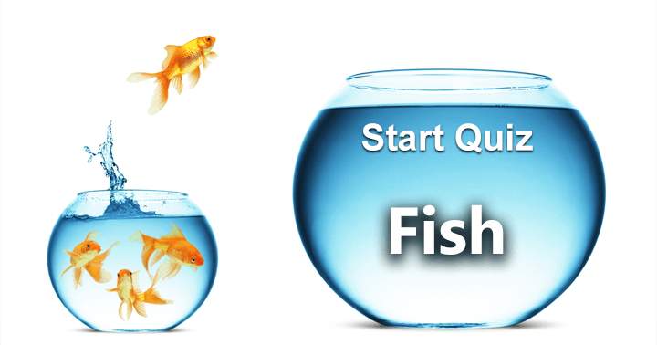 Banner for 10 very challenging questions about fish, Take the test.