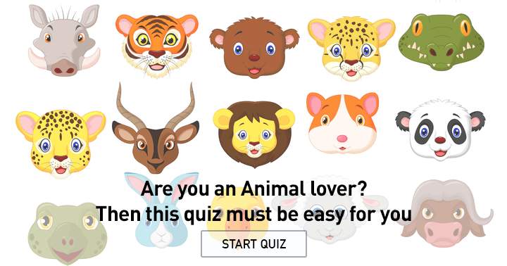 Banner for Are you an animal lover? Then this quiz must be easy for you.