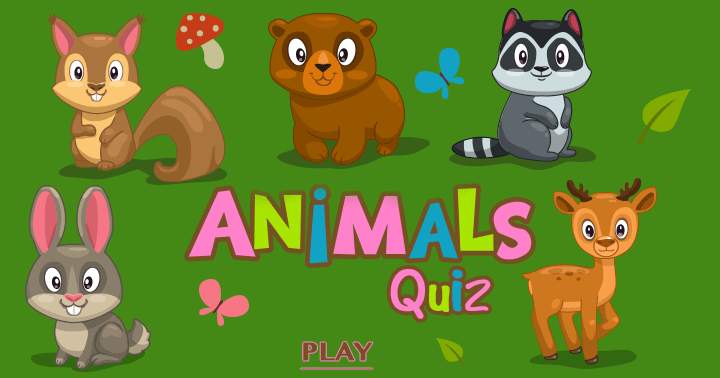 Banner for We hope you will have fun playing this animal quiz!