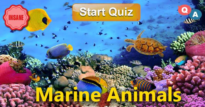 Banner for Marine Animals: Answer 10 Insanely Difficult Questions!