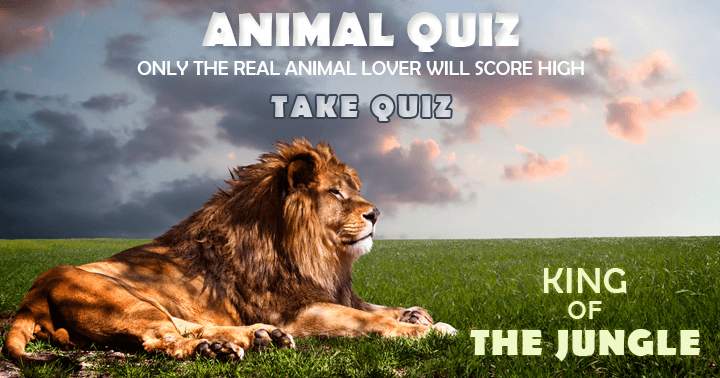 Banner for Only those who truly love animals will achieve a high score on the Animal Quiz.