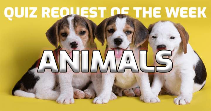 Banner for Quiz Request Of The Week: Animals