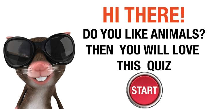 Banner for Do you like animals?