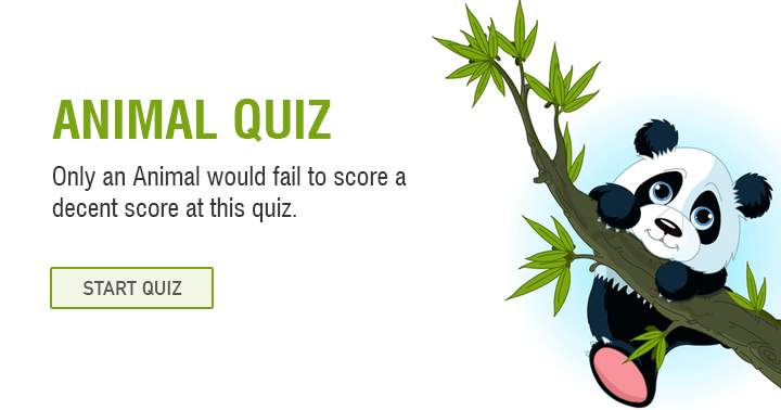 Banner for Anyone but a donkey could easily achieve a good score on this animal trivia quiz.