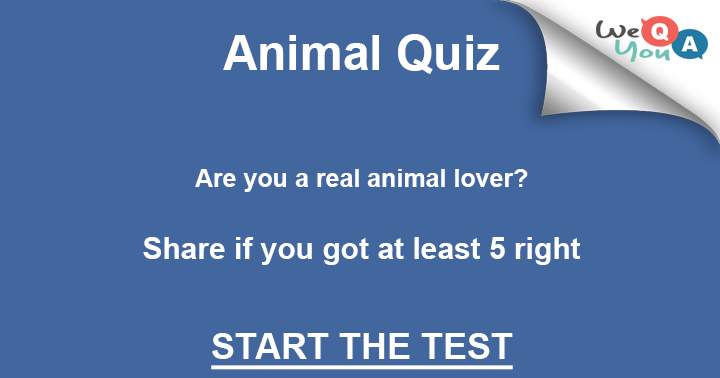 Are you a real animal lover?  show us how much you know about the.