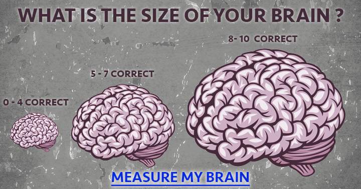 Banner for Brain size does matter