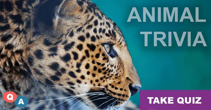 Banner for 10 fun questions about the Animal World, can you even get 5 right?