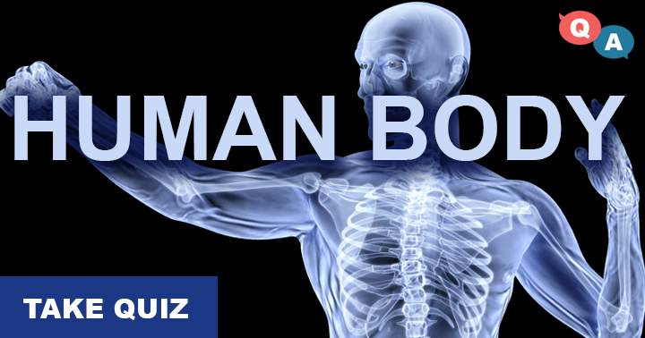 Banner for Very hard quiz about the human body, we bet you wont be able to even score a 4 or better.