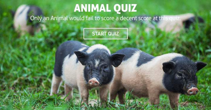 Banner for Only an Animal would fail to score a decent score at this animal quiz.