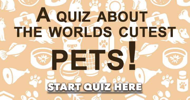 Banner for Cutest Pets Quiz