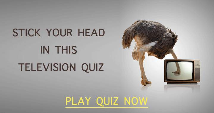 Banner for Stick your head in this amazing Television quiz!