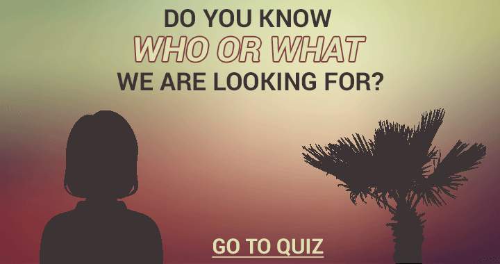 Banner for Who or what are we looking for?